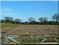 Countryside east of Woodend Lane