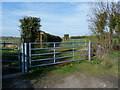 North Cheshire Way - beyond the end of Woodend Lane