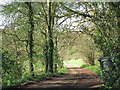 Track off Bicknor Road