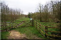 The north west entrance to Duddas Wood