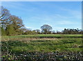 Countryside south of Hazelhurst Farm, Mobberley