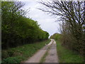 TM2852 : Access Track to Byng Hall Road by Geographer