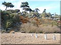 Cliffs near Badwsey Manor