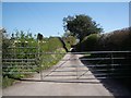 Hamlet, nr Chetnole: gated farm track