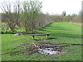 Vandalism in Bloors Lane Community Woodland