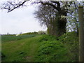 Footpath to Sandy Lane