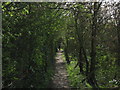 Footpath to Berengrave Lane