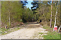 Entrance to Woodland, Hurn