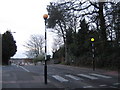 Pedestrian Crossing on Dark Hill