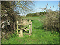 Stile on the Tas Valley Way