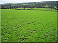 Footpath from Horsleygate to Millthorpe