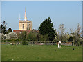 TL4446 : Thriplow: church, paddock and grey by John Sutton
