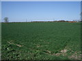 Farmland near Willitoft