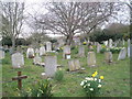 TQ1605 : Sompting, St Mary: spring flowers by Basher Eyre