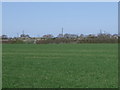 Farmland, Grange Farm