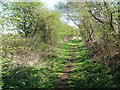 Rail Trail near Holme-on-Spalding-Moor