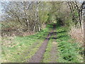 Rail Trail towards Market Weighton