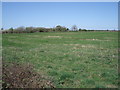 Farmland off Skiff Lane