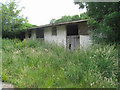 Abandoned stables - Tolpuddle