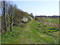 Footpath to the A12 Wickham Market Bypass