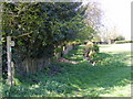 Footpath to Walnuts Lane