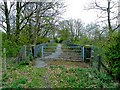 Overgrown track and bridge over the railway near Styal