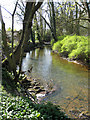 River Dove - a downstream view