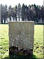NU1210 : Memorial stone near Monument, Lemmington Hall by Andrew Curtis