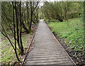 Along the boardwalk