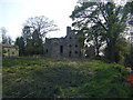 NY9763 : Dilston Castle by brian clark