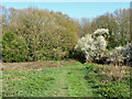 Path used by the London Loop