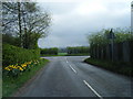 Lane junction with A34 at Brownlow Heath