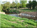 River Salwarpe - start of the canalised section