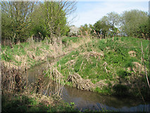 TL5258 : Little Wilbraham River near Hawk Mill Farm by John Sutton