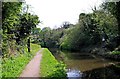 Staffs & Worcs Canal east of Cookley Tunnel, Cookley