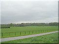 Playing Fields - Parkside Road