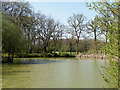 TQ1127 : Pond near footpath 1466/2 by Robin Webster