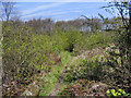 Sefton Coastal Path