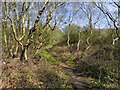 The Sefton Coastal Path