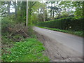 Ewhurst Road approaching Ewhurst