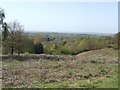 View over Brocton