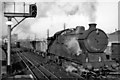 Up  (eastbound) freight on the North London line approaching Finchley Road & Frognal station