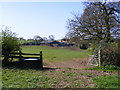 Yew Tree Farm View