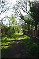 Priory Lane Bridleway