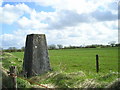 Trig point