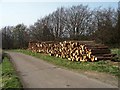 NU1310 : Timber crop by David Clark