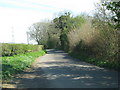 ST6686 : Road to Tytherington by Sarah Charlesworth