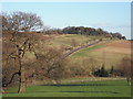 Wood Hall: A view from the terrace