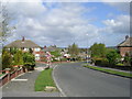 Carr Hill Drive - viewed from Carr Hill Grove