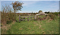 All Saints, East Horndon - Churchyard gate